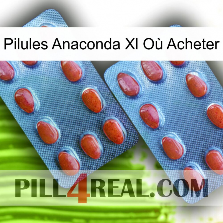 Pilules Anaconda Xl Où Acheter 05